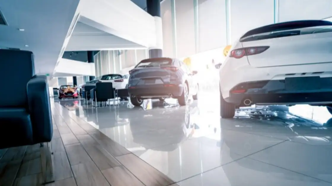 Por que o showroom virtual é essencial para sua empresa?